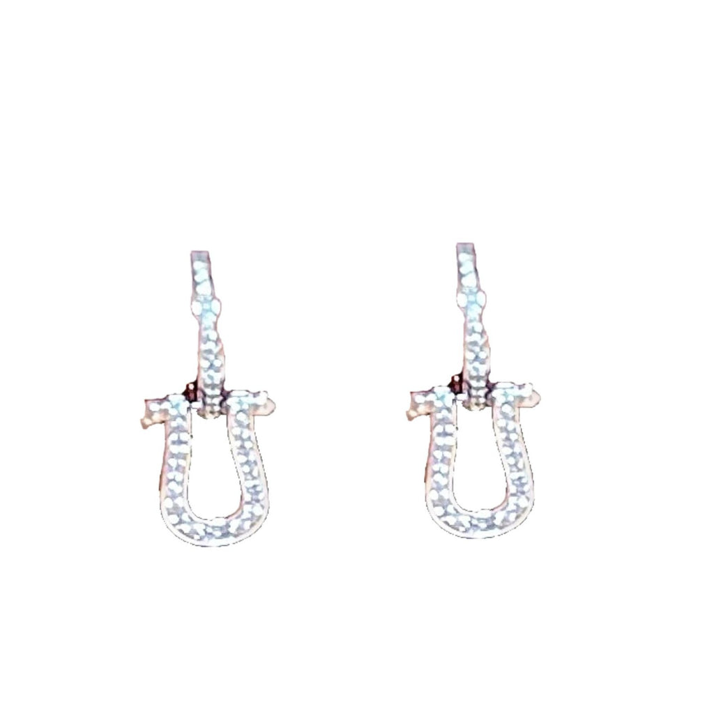 Horseshoe Earrings for Women, Luxury Micro Paved Zircon Stud Earrings, Ins Niche Dainty Elegant Jewelry